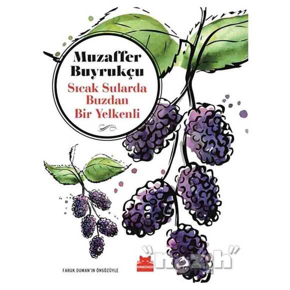 Sıcak Sularda Buzdan Bir Yelkenli