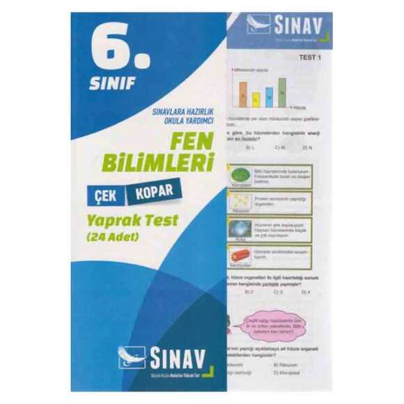 Sınav 6. Sınıf Fen Bilimleri Yaprak Test