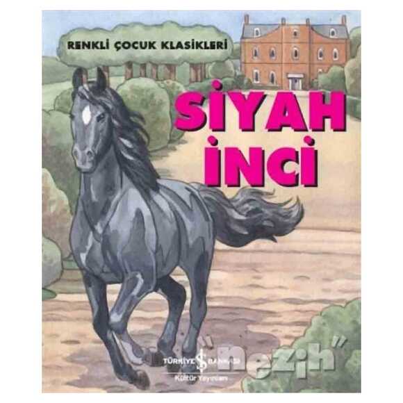 Siyah İnci 266228