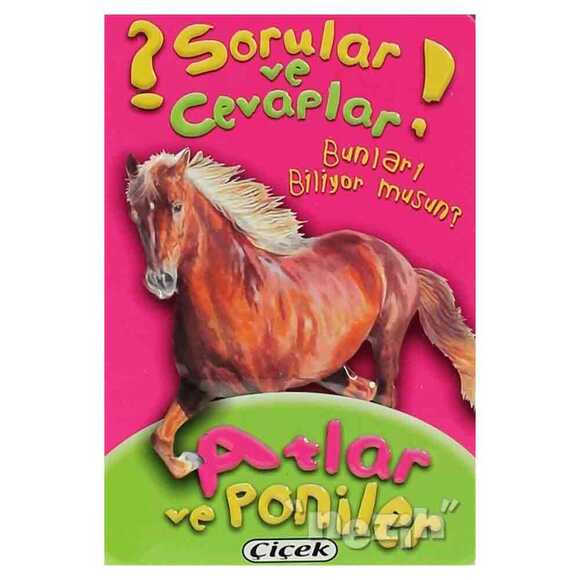 Sorular ve Cevaplar - Atlar ve Poniler