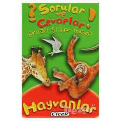 Çiçek Yayınları - Sorular ve Cevaplar - Hayvanlar