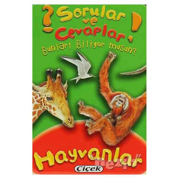 Sorular ve Cevaplar - Hayvanlar