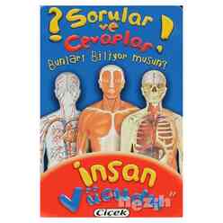 Çiçek Yayınları - Sorular ve Cevaplar - İnsan Vücudu