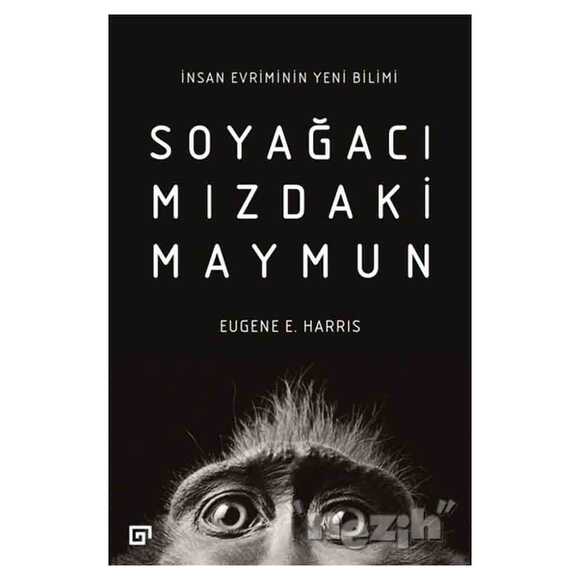 Soyağacımızdaki Maymun
