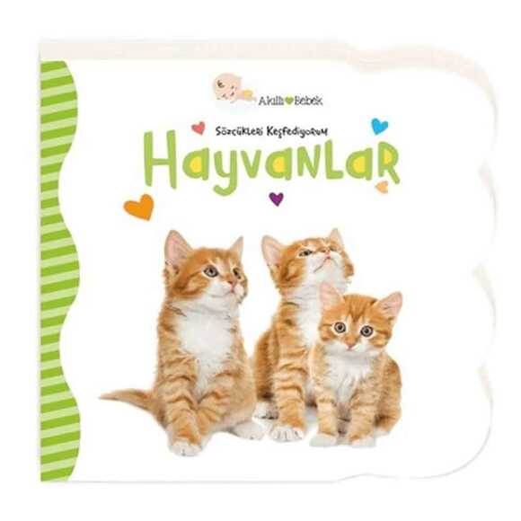 Sözcükleri Keşfediyorum - Hayvanlar