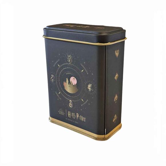 Space Harry Potter İskambil Kağıdı Metal Kutulu İK-380368