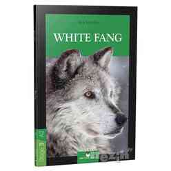 Stage 3 - A2: White Fang 284823 - Thumbnail