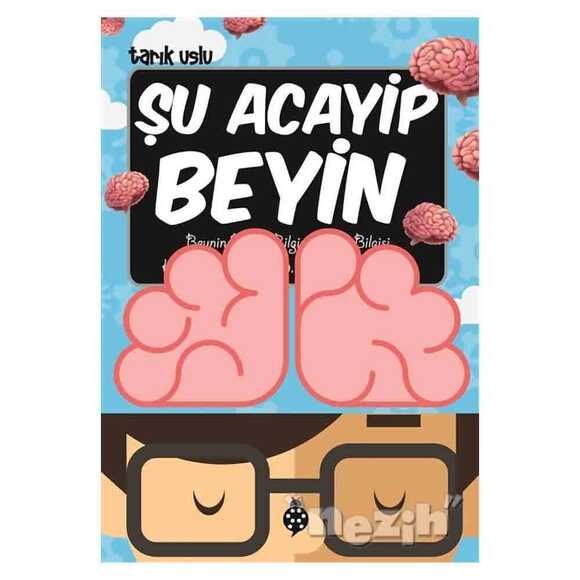 Şu Acayip Beyin