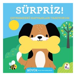 İndigo Kitap - Sürpriz! - Çevremdeki Hayvanları Tanıyorum