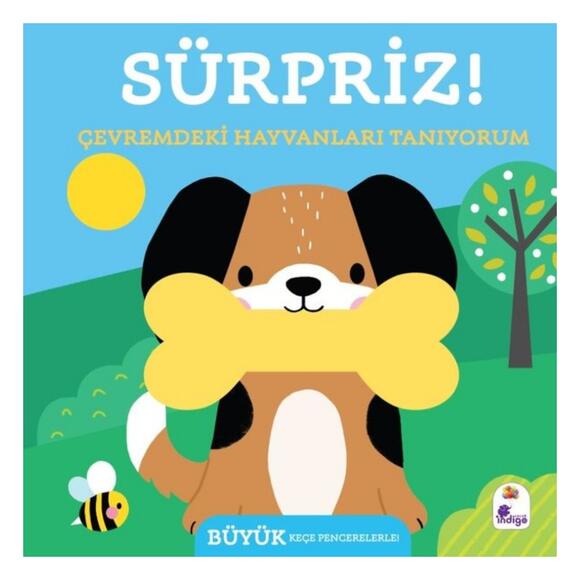 Sürpriz! - Çevremdeki Hayvanları Tanıyorum