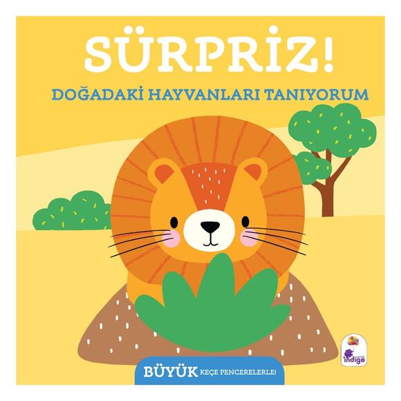Sürpriz! - Doğadaki Hayvanları Tanıyorum
