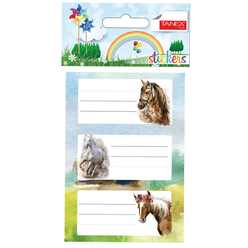 Tanex - Tanex Okul Etiketi 3’lü 6048