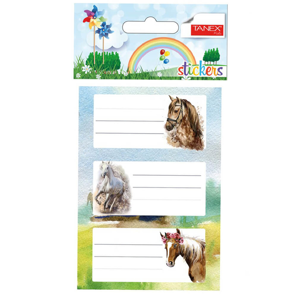 Tanex Okul Etiketi 3’lü 6048