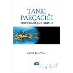 İstanbul Yayınevi - Tanrı Parçacığı