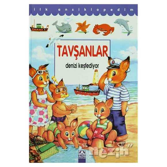 Tavşan Denizi Keşfediyor