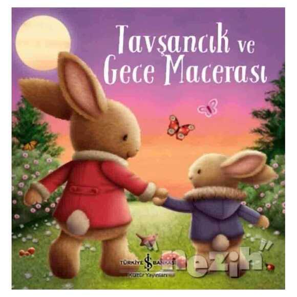 Tavşancık ve Gece Macerası