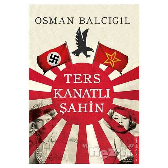 Ters Kanatlı Şahin