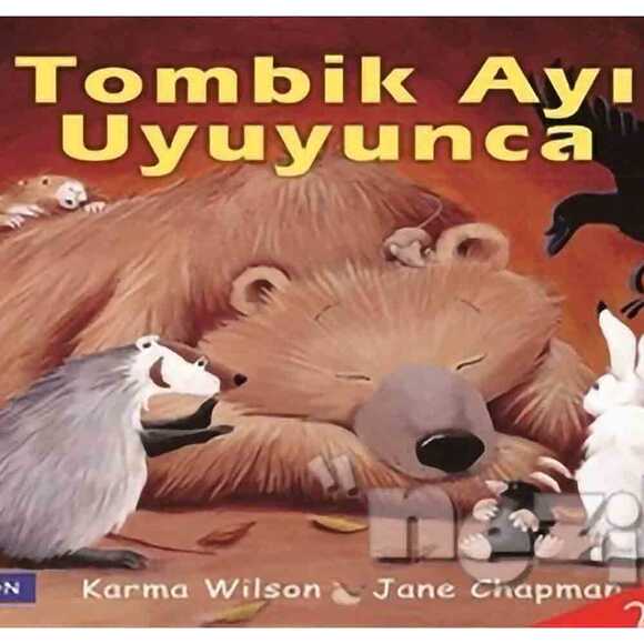 Tombik Ayı Uyuyunca