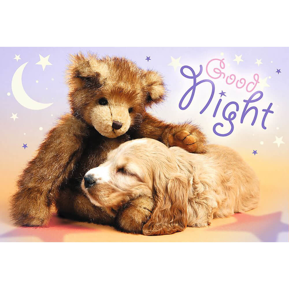 Trefl Puzzle Good Night 60 Parça 17270
