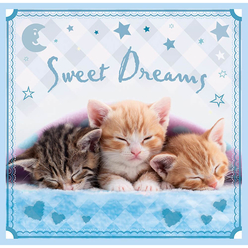 Trefl - Trefl Puzzle Sweet Kittens 3’lü 20+36+50 Parça 34809