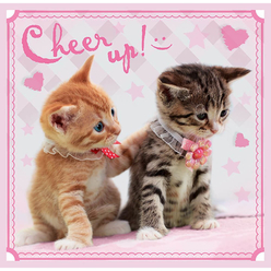 Trefl Puzzle Sweet Kittens 3’lü 20+36+50 Parça 34809 - Thumbnail