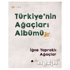 Kumdan Kale - Türkiye’nin Ağaçları Albümü - İğne Yapraklı Ağaçlar