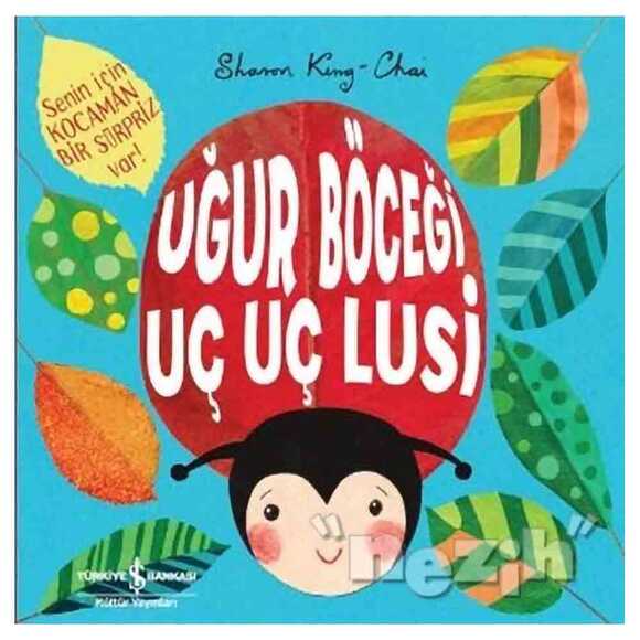 Uğur Böceği Uç Uç Lusi