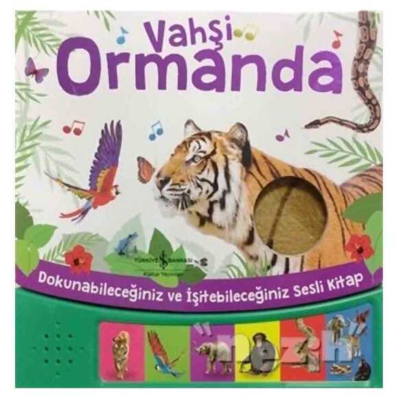 Vahşi Ormanda