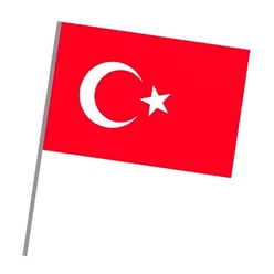 Vatan Sopalı Türk Bayrağı 20X30cm 225 - Thumbnail