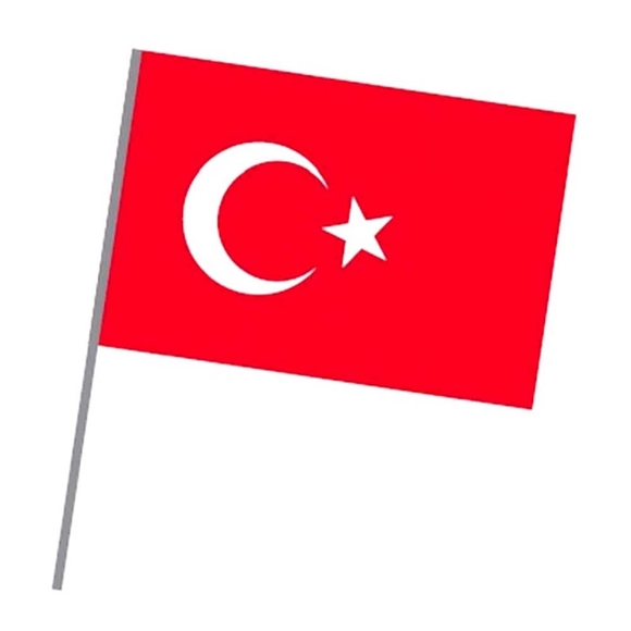 Vatan Sopalı Türk Bayrağı 20X30cm 225