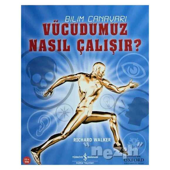 Vücudumuz Nasıl Çalışır?