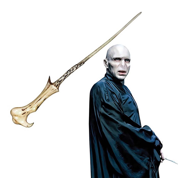 Wizarding World Harry Potter Asa Voldemort ASA002