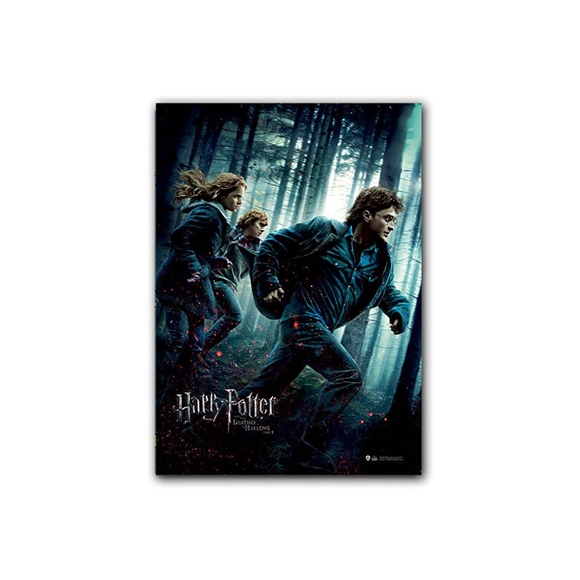 Wizarding World Harry Potter Poster Deathly Hallows P.1 Afiş B. Pos081