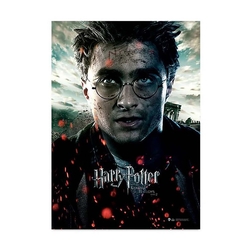Wizarding World Harry Potter Poster Deathly Hallows P.2, Harry B. Pos084 - Thumbnail