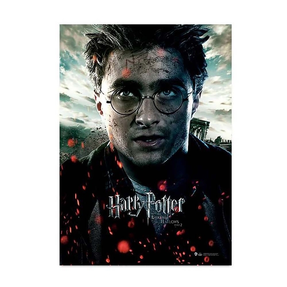 Wizarding World Harry Potter Poster Deathly Hallows P.2, Harry B. Pos084