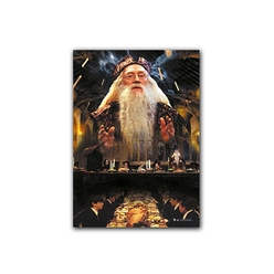 Wizarding World Harry Potter Poster Dumbledore2 B. Pos070 - Thumbnail