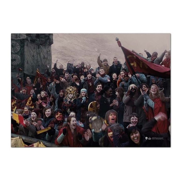 Wizarding World Harry Potter Poster Half-Blood Prince Büyük Pos064