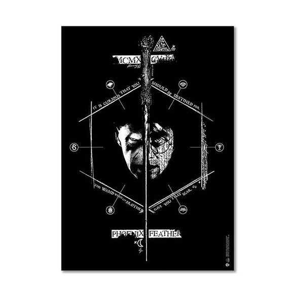 Wizarding World Harry Potter Poster Lord Voldemort vs Harry Potter, Phoenix Feather B. POS029