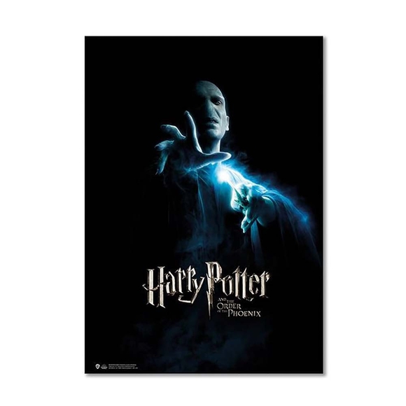 Wizarding World Harry Potter Poster Order of the Phoenix, Voldemort B. Pos038