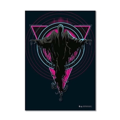 Wizarding World - Wizarding World Harry Potter Poster Ruhemici Neon B. Pos033
