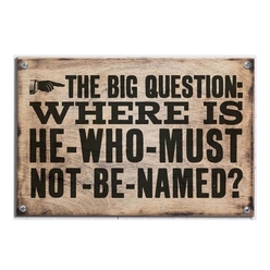 Wizarding World - Wizarding World Harry Potter Tabela The Big Question WSS001