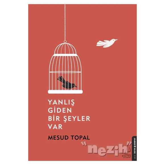 Yanlış Giden Bir Şeyler Var