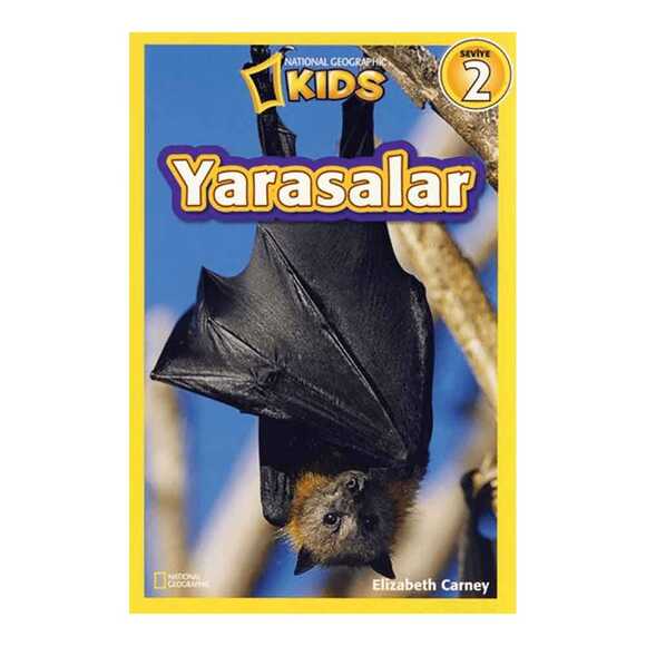 Yarasalar