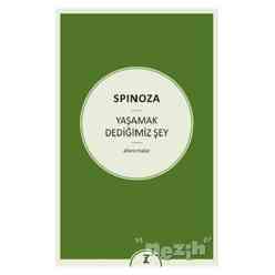 Zeplin Kitap - Yaşamak Dediğimiz Şey