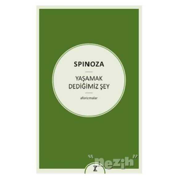 Yaşamak Dediğimiz Şey