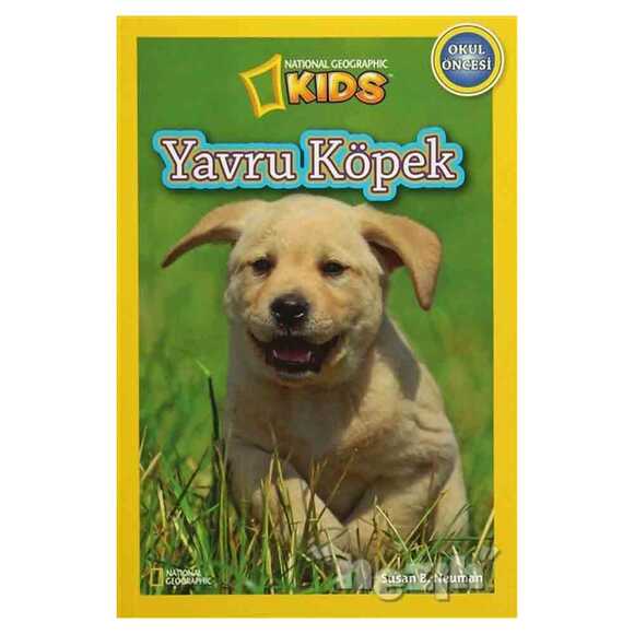 Yavru Köpek