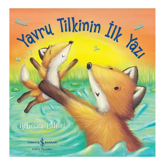 Yavru Tilkinin İlk Yazı