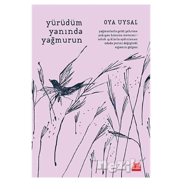 Yürüdüm Yanında Yağmurun