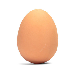 Zıplayan Yumurta Topu 1054 - Thumbnail